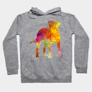 Kromfohrlander in watercolor Hoodie